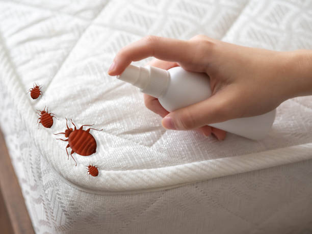 Best Pest Prevention Services  in Granite Falls, NC